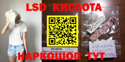 apvp Кингисепп
