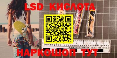 apvp Кингисепп