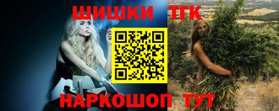 apvp Кингисепп