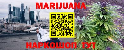 apvp Кингисепп